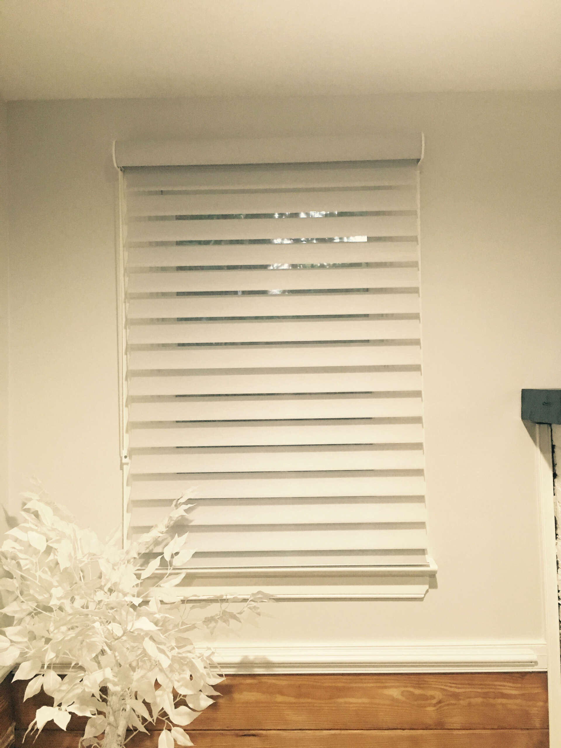 Shutter Company blinds
